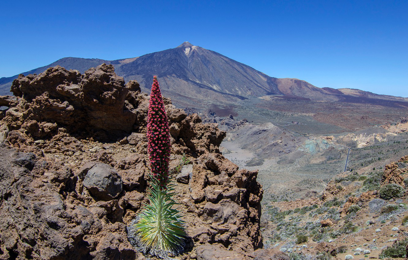 eSIM Canary Islands